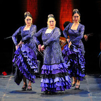 Compás de Academia Flamenca【2015年5月2日】のサムネイル