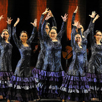 Compás de Academia Flamenca【2015年5月2日】のサムネイル