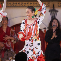 2016年7月　Sevillanas　(Canasta-Xeres Flamenco Vivo)のサムネイル