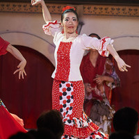 2016年7月　Sevillanas　(Canasta-Xeres Flamenco Vivo)のサムネイル