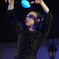 2016年7月 Soleá(Canasta-Xeres Flamenco Vivo)のサムネイル
