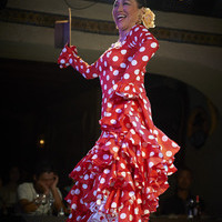 2016年7月　Garrotín2　(Canasta-Xeres Flamenco Vivo)のサムネイル