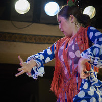 2016年7月 Alegrías (Canasta-Xeres Flamenco Vivo)のサムネイル