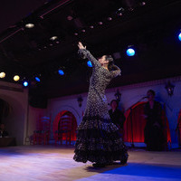 2016年7月 Siguiriya (Canasta-Xeres Flamenco Vivo)のサムネイル