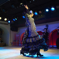 2016年7月 Siguiriya (Canasta-Xeres Flamenco Vivo)のサムネイル