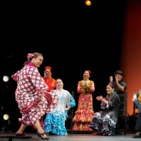 2022年5月8日発表会「Canasta-Xeres Flamenco Vivo 」①ブレリアのサムネイル